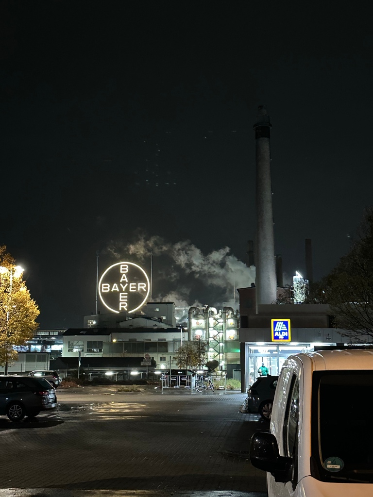 LIT UP CROSS SAYING BAYER BEHIND A LIDL AT NIGHT