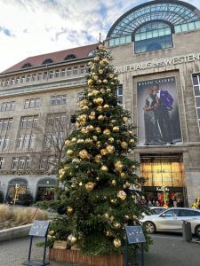 Christmas tree with gold bauls in front of a department store
